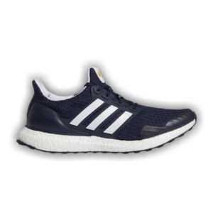 Adidas UltraBoost DNA 'Terry Fox - Marathon Of Hope'