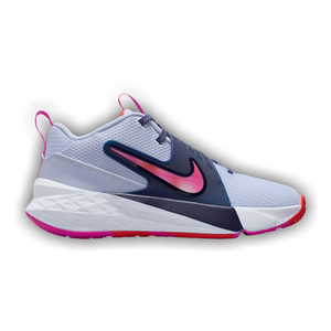 Nike Team Hustle D12 GS 'Ghost Fire Pink'