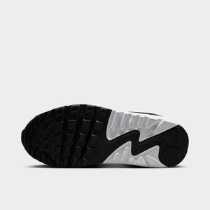 Nike Air Max 90 GS 'Wolf Grey/Cool Grey/Anthracite/White'