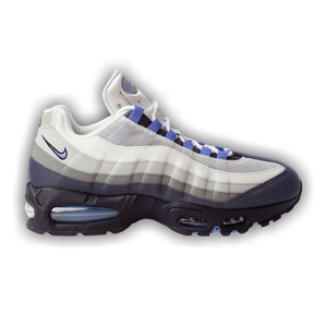 Nike Air Max 95 'Photon Dust Sapphire Raisin'