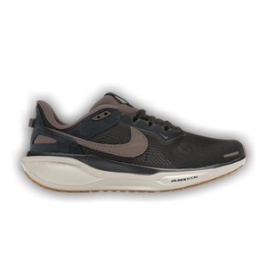 Nike Air Zoom Pegasus 41 SP 'Black Tea Dark Obsidian'