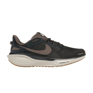 Nike Air Zoom Pegasus 41 SP 'Black Tea Dark Obsidian'