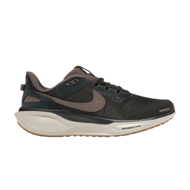 Nike Air Zoom Pegasus 41 SP 'Black Tea Dark Obsidian'