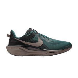 Nike Air Zoom Pegasus 41 SP 'Faded Spruce'