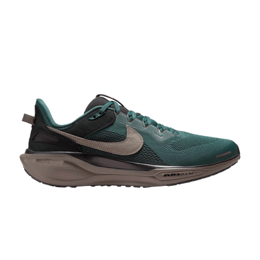 Nike Air Zoom Pegasus 41 SP 'Faded Spruce'
