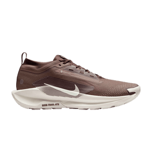 Nike Pegasus Trail 5 GORE-TEX 'Mink Brown'