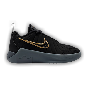 Nike Lebron Witness 9 PS 'Black Iron Grey'