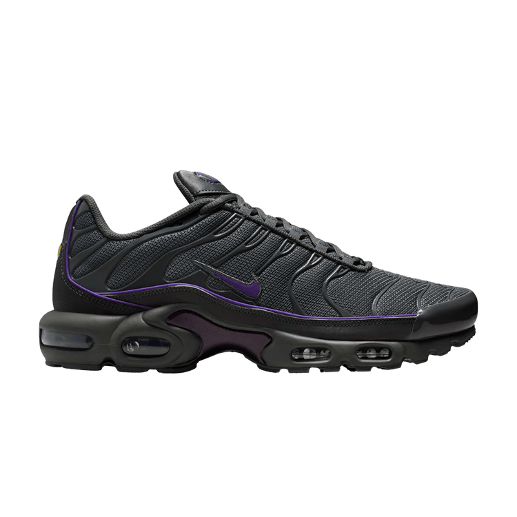 Nike Air Max Plus 'Iron Grey Wild Grape' HV8066 001