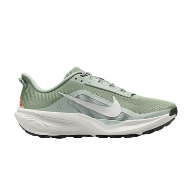 Nike ACG Pegasus Trail 'Jade Horizon'