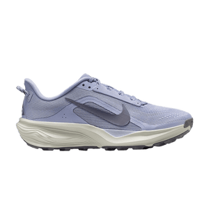 Nike Wmns ACG Pegasus Trail 'Ghost Mineral Slate'