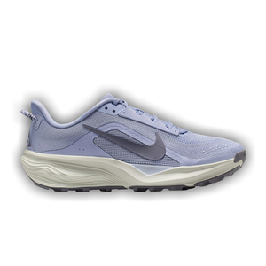 Nike Wmns ACG Pegasus Trail 'Ghost Mineral Slate'