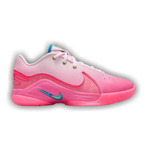 Nike LeBron 22 GS 'I Promise'