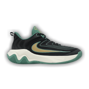 Nike Giannis Immortality 4 GS 'Bicoastal'
