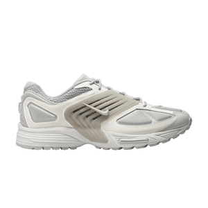 Nike Pegasus Wave 'Flat Silver'