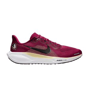 NCAA x Nike Air Zoom Pegasus 41 'Florida State'