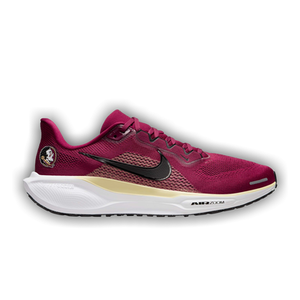 NCAA x Nike Air Zoom Pegasus 41 'Florida State'