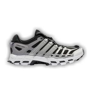 Adidas Adistar Raven 'Tech Silver'