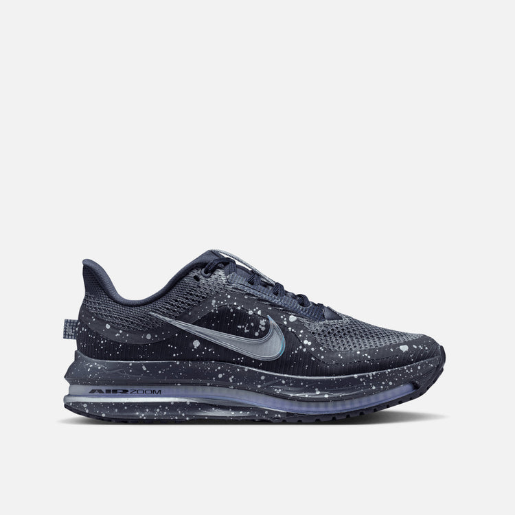 Nike Wmns Pegasus Premium SE  'Cave Purple/Metallic Silver/Black'