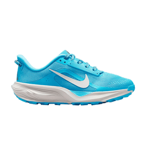 Nike ACG Pegasus GS 'Baltic Blue'