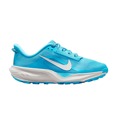 Nike ACG Pegasus GS 'Baltic Blue'