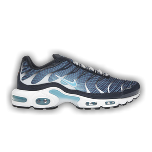 Nike Air Max Plus 'Dark Obsidian'