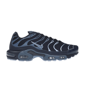 Nike Air Max Plus 'Obsidian Aluminum'