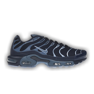 Nike Air Max Plus 'Obsidian Aluminum'