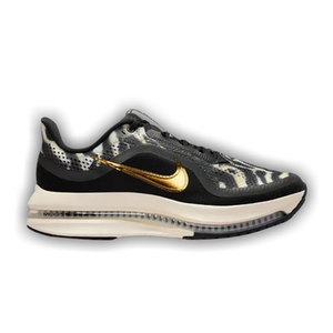 Nike Wmns Pegasus Premium 'Black Metallic Gold'