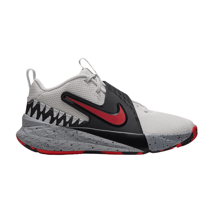 Nike Team Hustle D 12 SE GS 'Summit White Wolf Grey' IQ6546 100