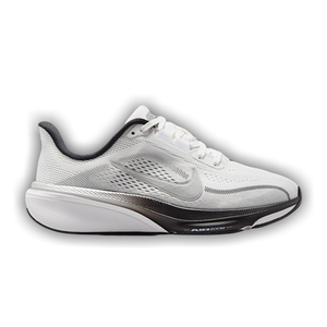 Nike Pegasus 42 GS 'Summit White Metallic Silver'