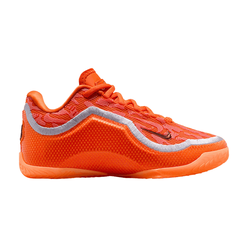 Nike Lebron Xxiii " Bag" GS 'Shoe Bag' IV4874 800