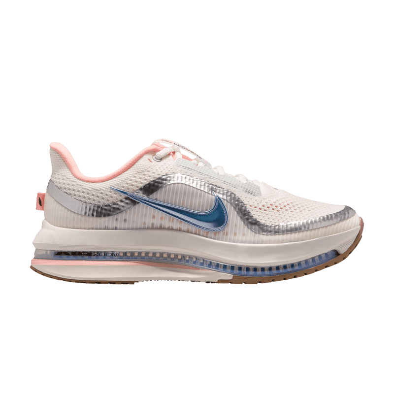 Dick's x Nike Wmns Pegasus Premium 'Now And Then' IV5669 121