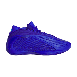 adidas AE 2 Big Kid 'Lucid Blue'