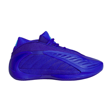 adidas AE 2 Big Kid 'Lucid Blue'