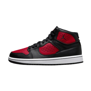 Air Jordan Access GS 'Bred'