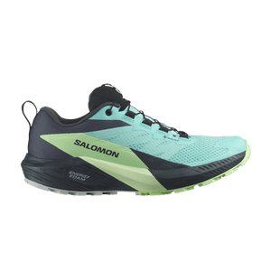 Salomon Wmns Sense Ride 5 GORE-TEX 'Blue Radiance India Ink'