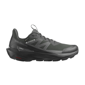 Salomon Elixir Activ GORE-TEX 'Phantom'