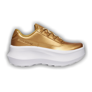 Salomon Comme des Garçons Homme Plus x SR811 'Gold'
