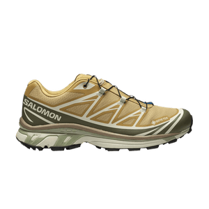 Salomon XT-6 GORE-TEX 'Antelope Portabella'
