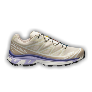 Salomon XT-6 'Milk Silver Cloud'