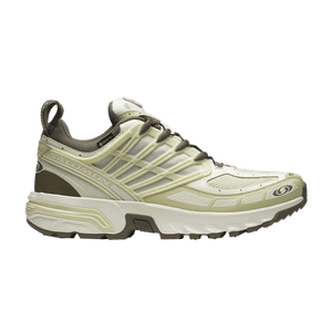 Salomon ACS Pro GORE-TEX 'Vanilla Ice Green Haze'