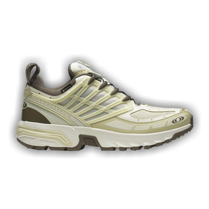 Salomon ACS Pro GORE-TEX 'Vanilla Ice Green Haze'