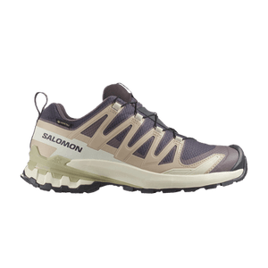 Salomon Wmns XA Pro 3D V9 GORE-TEX 'Nine Iron Alfalfa'