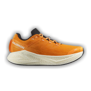 Salomon Aero Glide 3 'Turmeric'
