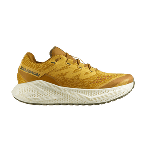 Salomon Aero Glide 3 GRVL 'Spicy Mustard'
