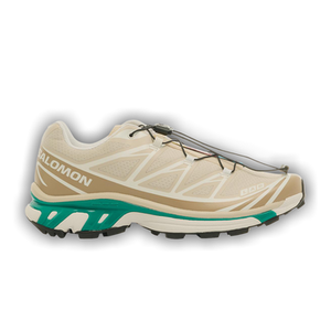 Salomon XT-6 'Rainy Day Chinchilla'