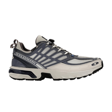 Salomon ACS Pro GORE-TEX 'Lunar Rock Grisaille'