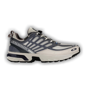 Salomon ACS Pro GORE-TEX 'Lunar Rock Grisaille'