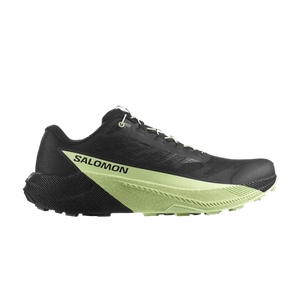 Salomon Pulsar 'Black Patina Green'