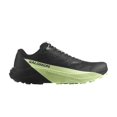 Salomon Pulsar 'Black Patina Green'